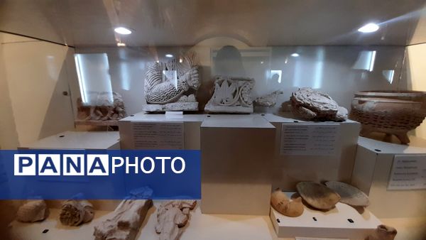 فلک‌الافلاک میزبان دانش‌آموزان‌دبیرستان‌ریحانه