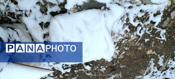 دومین بارش برف پاییزی در شهرزیبای بار نیشابور