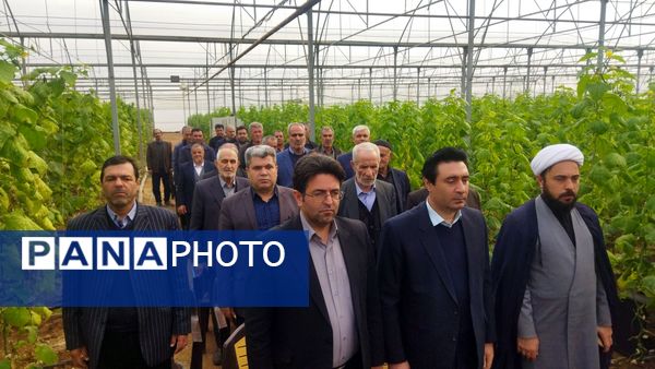 بازدید از گلخانه نمونه خسروشاه در هفته بسیج