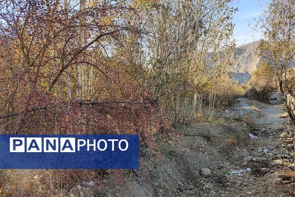 تصاویر زیبا از پاییز رنگارنگ در شهر دار السادات بار نیشابور 