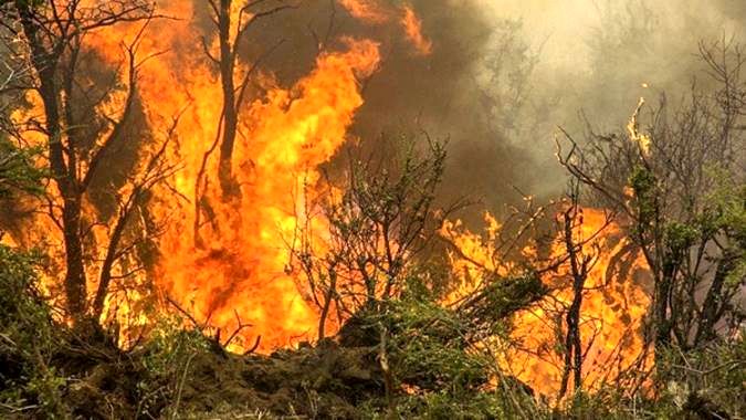 مدارس، بهترین بستر برای ترویج فرهنگ محیط‌زیست هستند