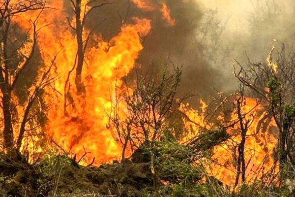 مدارس بهترین بستر برای ترویج فرهنگ محیط‌زیست هستند