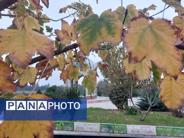 کردکوی، سرسبزترین شهرستان گلستان