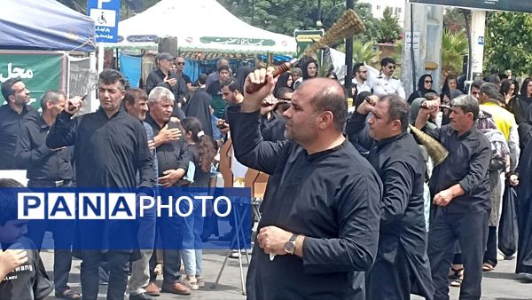رنگ و بوی سوگواری عاشورا در محمودآباد 