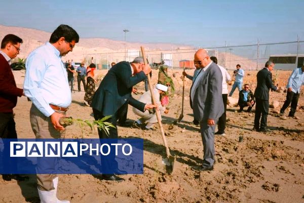 ۲۵۰۰‌ اصله‌ نهال‌حرا‌ در‌ بندرخمیر‌ کاشته‌ شد