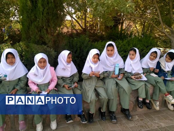 لمس طبیعت با حواس پنج‌گانه، سفری از شناخت تا شکرگزاری در هفته بهداشت روان