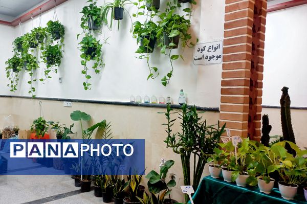 نمایشگاه گل و گیاه در نمایشگاه دائمی قرچک