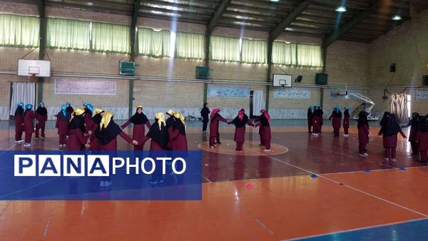 هیجان ورزش در روزهای المپیاد