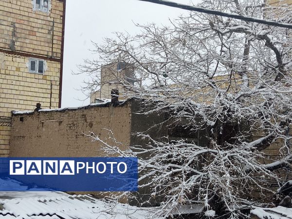 بارش برف شدید و سفید پوش شدن شهر زیبای مشهد 