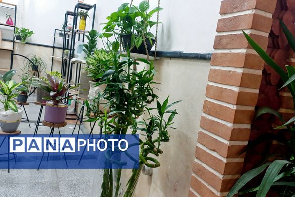 نمایشگاه گل و گیاه در نمایشگاه دائمی قرچک