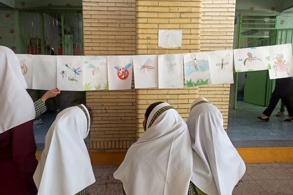 نمایشگاه آگاهی‌بخشی درباره پشه ائدس در مدرسه حضرت معصومه(س)