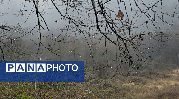 طبیعت بکر باران کوه استان گلستان
