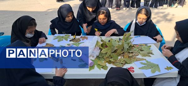 ایستگاه سبز طبیعت در مدرسه شهید رزمی خلیل آباد