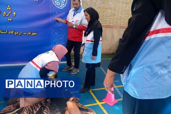 اولین جشنواره علمی ، مهارتی و آموزشی سفیران بهداشت 