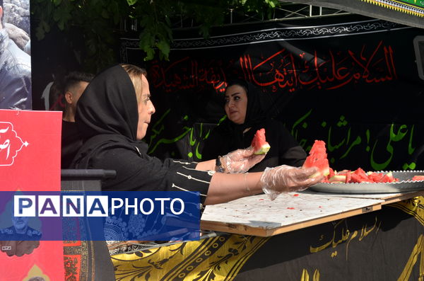 تجمع بزرگ جاماندگان اربعین در تهران