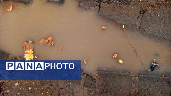 بارش  باران پاییزی در نیشابور