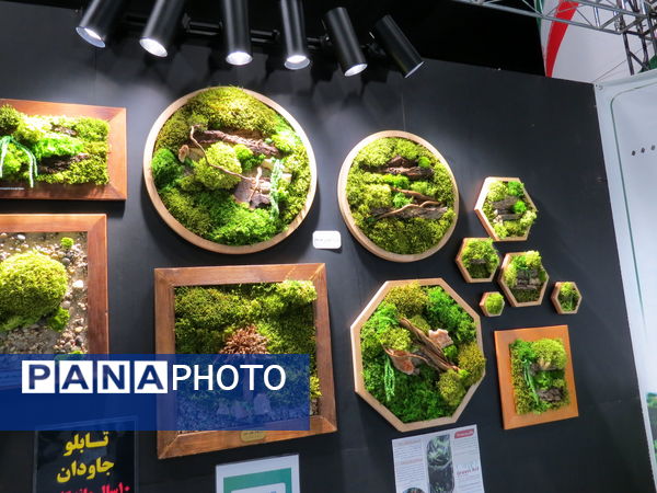 برگزاری نمایشگاه پژوهش شهرستان بجنورد 