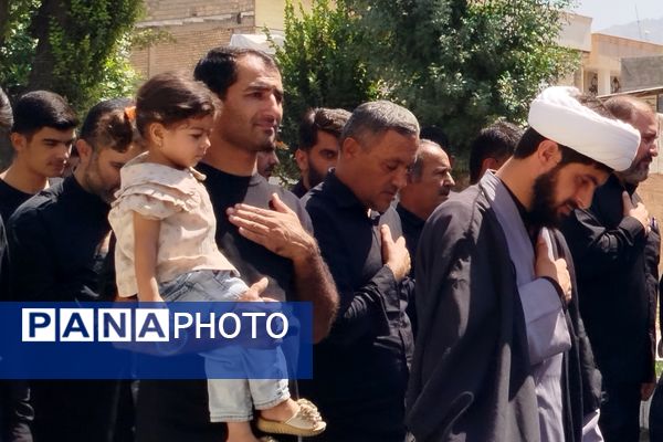 شکوه عزاداران رضوی در لردگان