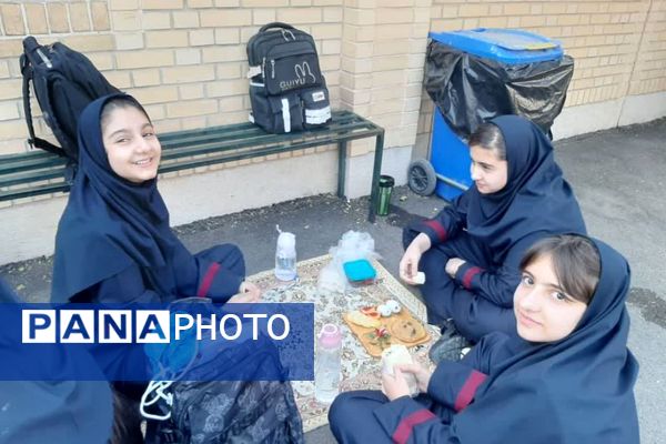 تضمین نشاط هفته با یک لقمه سلامتی
