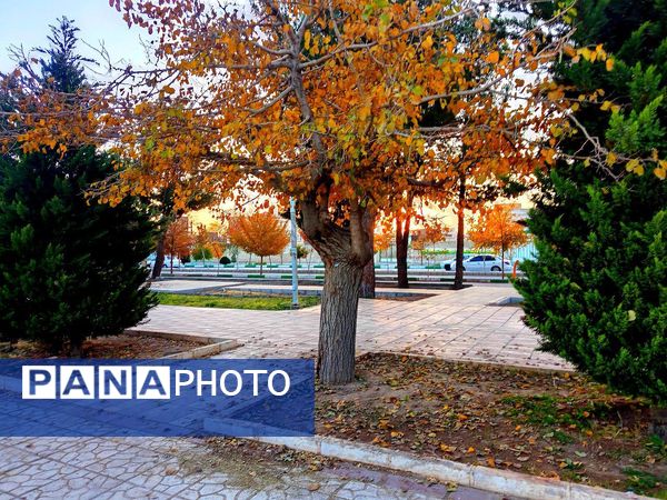 طبیعت زیبای کاشمر در پاییز