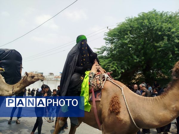 مراسم عزاداری روز عاشورا در میناب