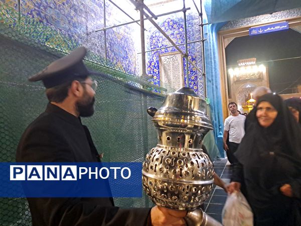 کبوتر حرم مشهد مقدس
