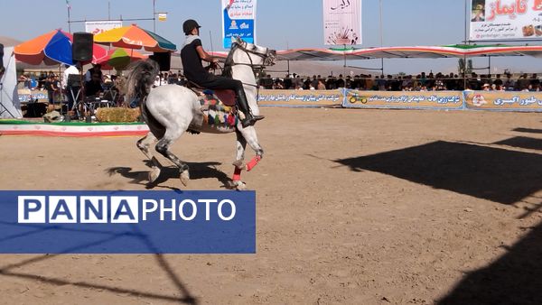 مراسم شوسواره کشوری ارسباران در اهر