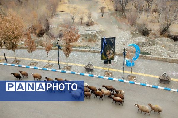 چهره شفاف و دل انگیز شهربارنیشابور با بارش  باران پاییزی  