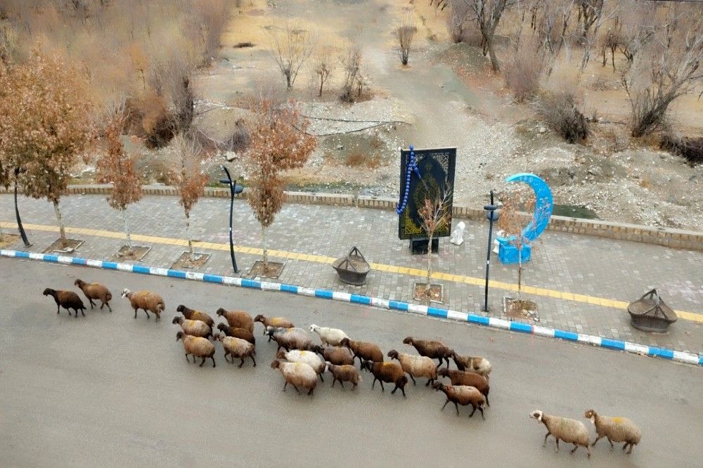 چهره شفاف و دل انگیز شهربارنیشابور با بارش  باران پاییزی  