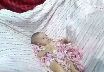جشن سنتی گل‌غلتان با عطر گل محمدی در پارک تفریحی پیرخوشدر شهر کلاته رودبار