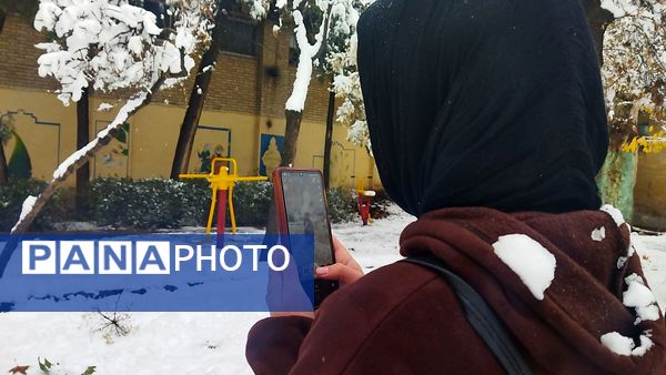 درختان طلایی ، سفید پوش شدند 