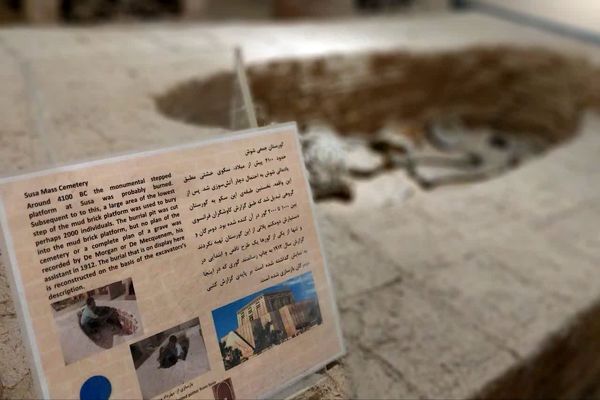 موزه ‌ها؛ میراث‌بانان میراث ملموس جامعه بشری