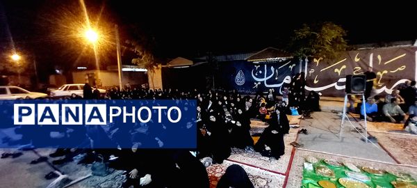 روضه خیابانی در شهرستان کاشمر