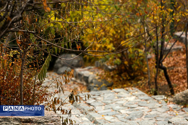 پاییز خیال انگیز در پارک جمشیدیه