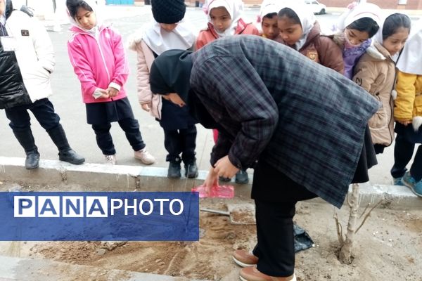 زینت بخشی مدارس شهرستان قدس با کاشت نهال های جوان