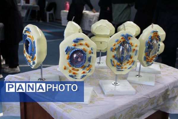 گرامیداشت روز آزمایشگاه در دبیرستان دخترانه شاهد غرویان وکیلی (۲۲)