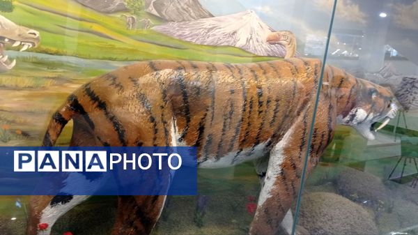 بازدید مدرسه ساره از پارک موزه علوم زمین