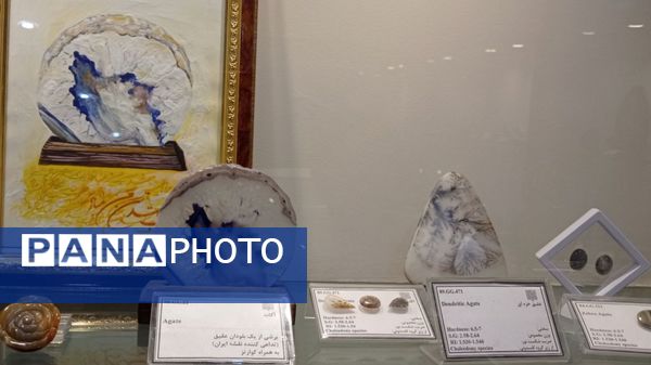 بازدید مدرسه ساره از پارک موزه علوم زمین