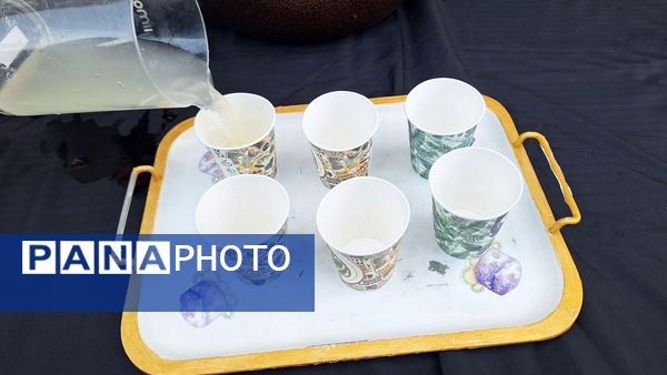 موکب مادر پهلو شکسته