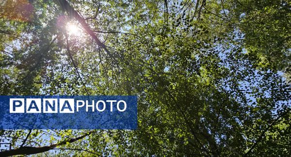 نگین سبز شمال ایران