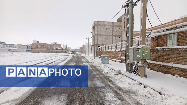 شازند سفیدپوش شد