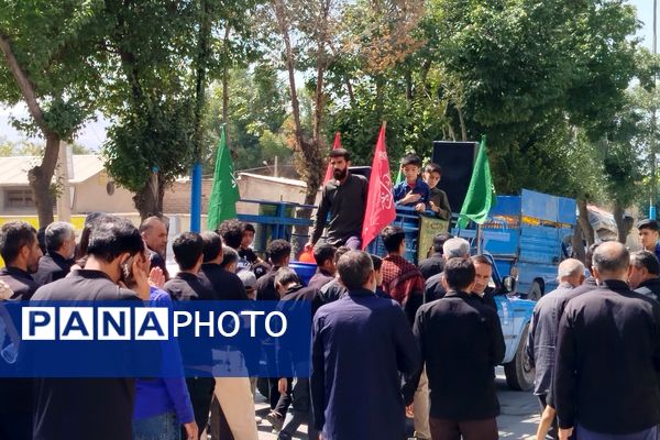 شکوه عزاداران رضوی در لردگان