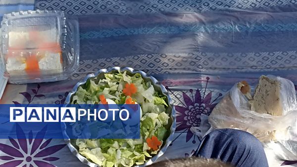 ترویج تغذیه سالم با برگزاری اردوی حیاطی در دبستان فطرت