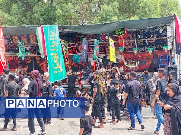 برگزاری آئین «شیر و کتل» در میناب 