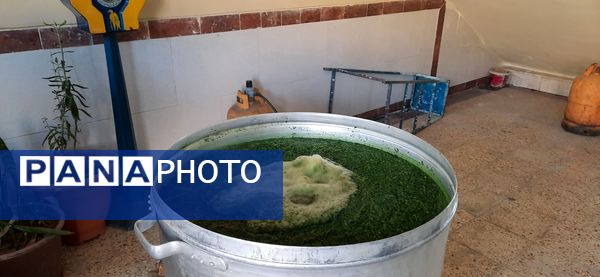 عطر فاطمى در دبیرستان امامت مهدیه