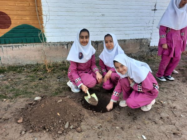 مراسم کاشت نهال در دبستان سید قطب رادکان 