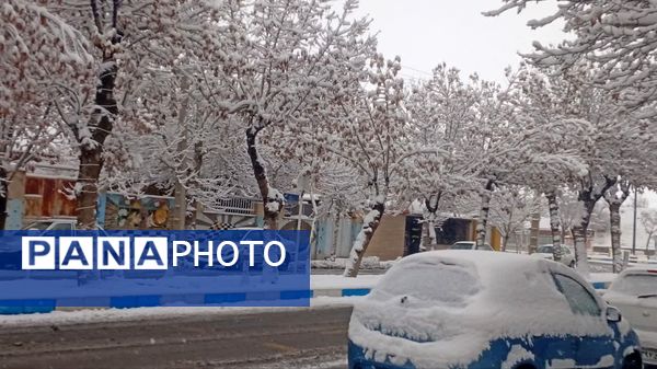 شازند سفیدپوش شد