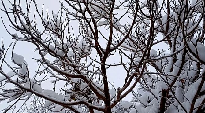 بارش برف در روستای گزکوه