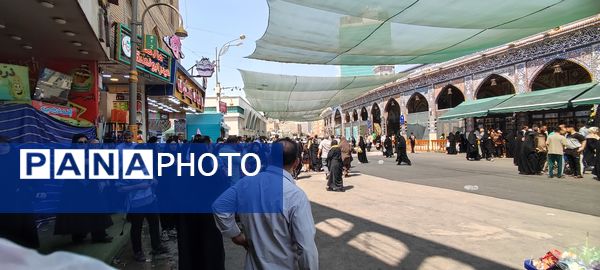 گزارش کوچکترین خبرنگار پانا از حال و هوای کربلای معلا 