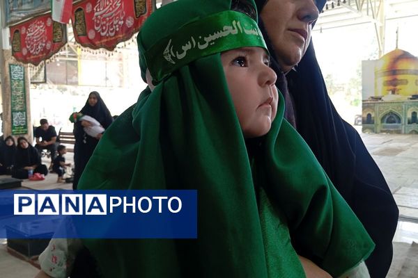 برگزاری مراسم شیرخوارگان حسینی درشهرستان ملارد